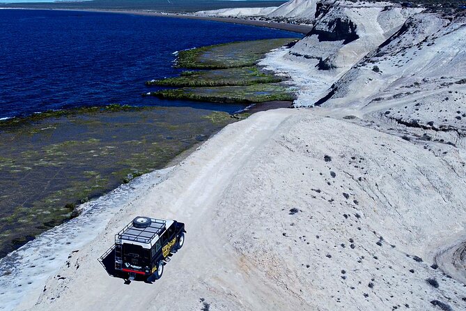 3 hour 4x4 tour around Puerto Madryn - Punta Loma combines wildlife and a short walk