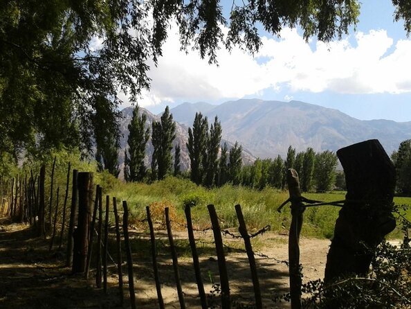 Andes Day Trip from Mendoza Including Aconcagua, Uspallata and Puente del Inca - Key points before you book