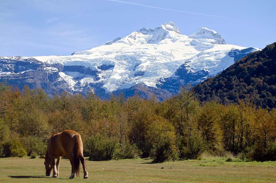Bariloche: Cerro Tronador and Ventisquero Negro Glacier Tour - The gravel road beside Lake Mascardi