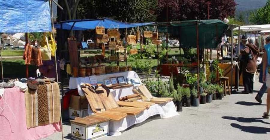 Bariloche: Full-Day El Bolsón and Puelo Lake Tour - What to look for at the artisan fair