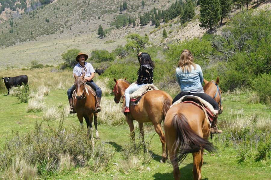 Bariloche: Guided horseback rides in the Patagonian steppe - Key points to know before you book