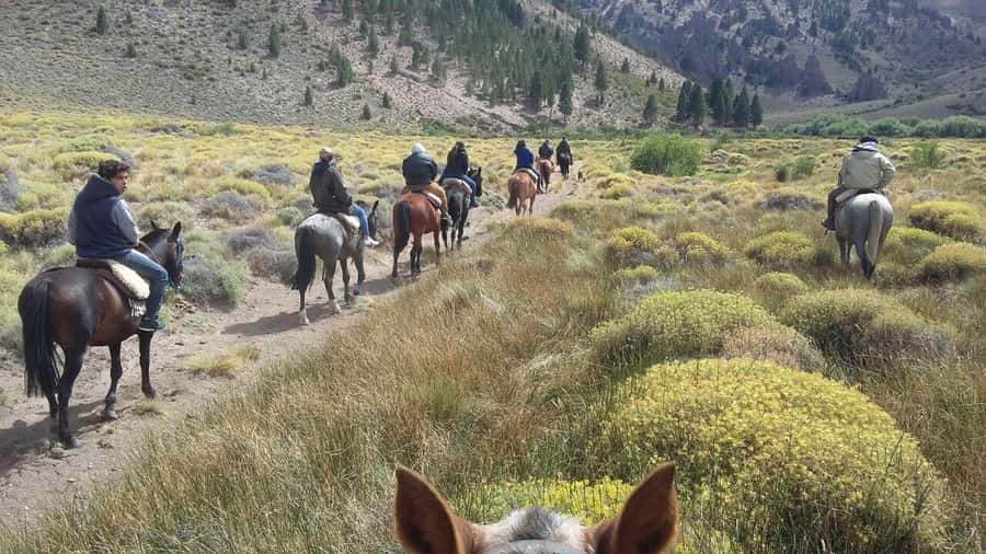 Bariloche: Guided horseback rides in the Patagonian steppe - Two hours on horseback across uneven ground