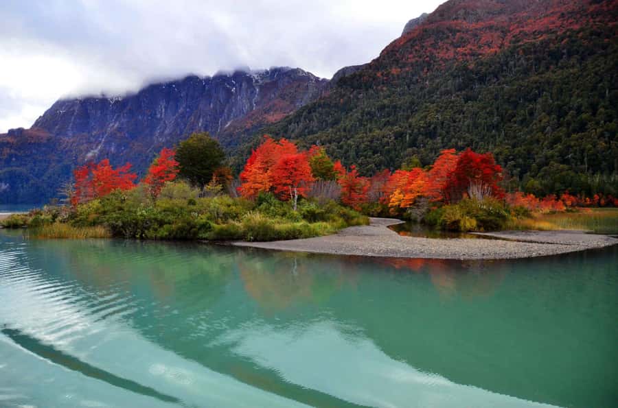 Bariloche: Puerto Blest and Cascada de los Cántaros (Waterfall of the Cantaros) - Sailing west across Nahuel Huapi