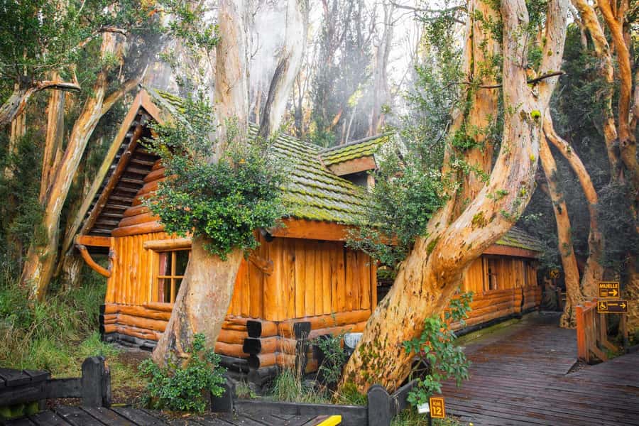 Bariloche: Victoria Island and Arrayanes Forest Navigation - Why This Lake Nahuel Huapi Day Trip Appeals