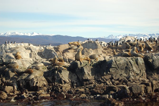 Beagle Channel Navigation - Sea Lions Island - Leaving Ushuaia Bay for the Beagle Channel