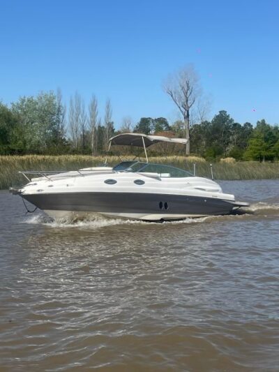 Best of Delta Buenos Aires Private Boat Tour: Enjoy More