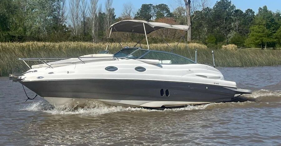 Best of Delta Buenos Aires Private Boat Tour: Enjoy More - Who will enjoy this private cruise most?