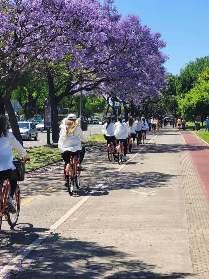 Bike Tour: Buenos Aires to the North - Rosedal and the wide green spaces of Palermo