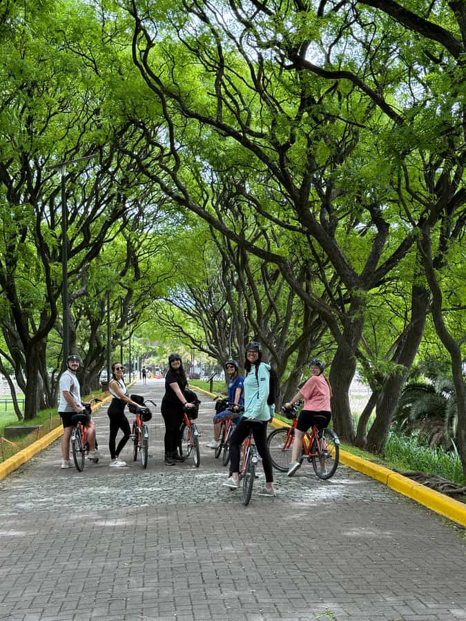 Bike Tour: Buenos Aires to the South - Starting in San Telmo near Calle Giuffra