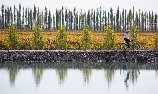 Bike Tour in Mendoza Wine Country - Starting at 8 a.m. in central Mendoza