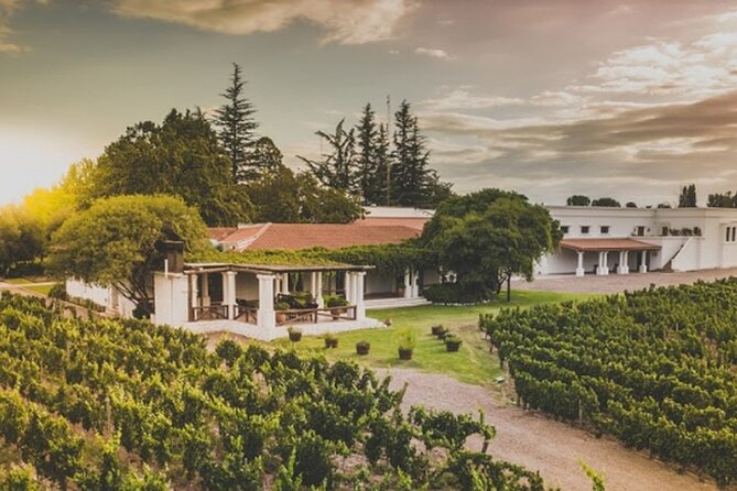 Bike Tour in Mendoza Wine Country - Bodega Vistalba and the rhythm of the day