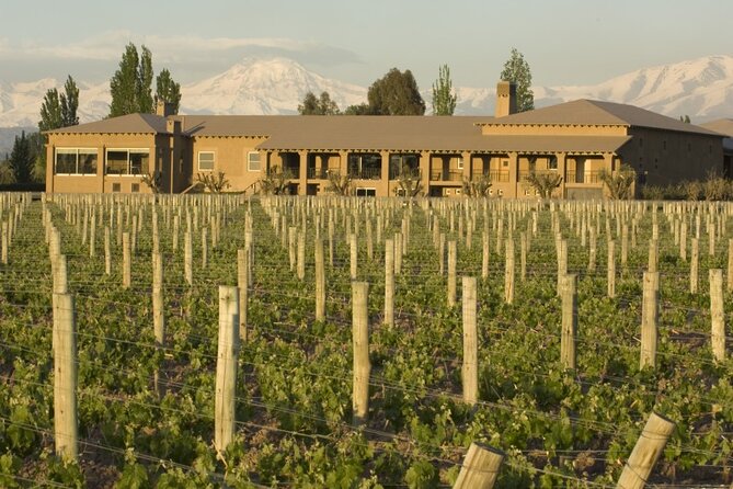 Bike Tour in Mendoza Wine Country - Lunch in the gardens at Nieto Senetiner