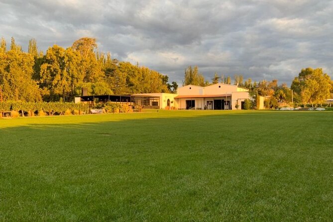 Bike Tour in Mendoza Wine Country - The ride back and return to Mendoza