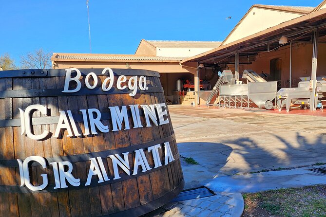 Bike Tour in Mendoza Wine Country - What the $360 price really buys