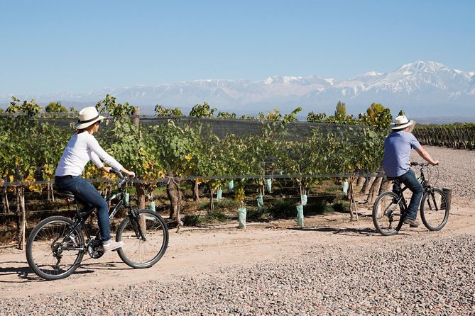 Bike Tour in Mendoza Wine Country - First tasting at Bodega Carmine Granata