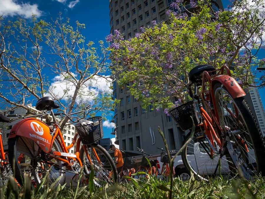 Buenos Aires Bike Tour: South or North Circuit - Starting in San Telmo, Buenos Aires’s old quarter