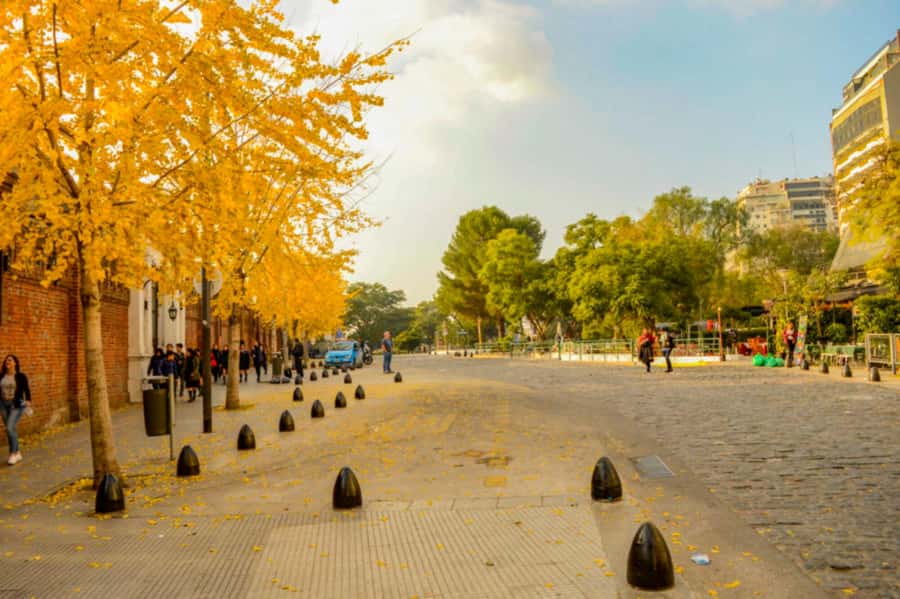 Buenos Aires: City Tour Porteno with Wine Tasting - From Palermo Woods to the Floralis Genérica