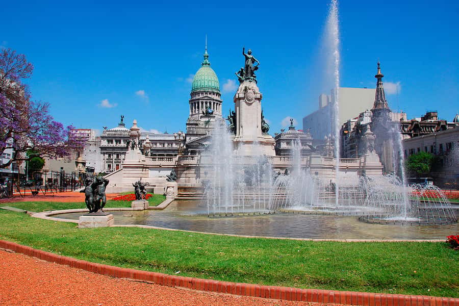 Buenos Aires City Tour with Luxury Lunch - Guides, languages, and group size