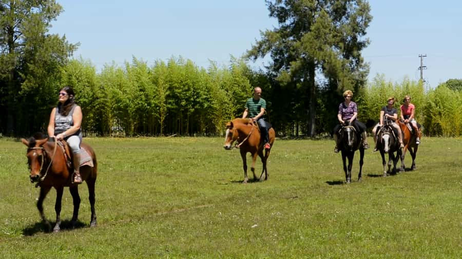 Buenos Aires: Don Silvano Ranch Gaucho Day Trip - Key points to know before booking