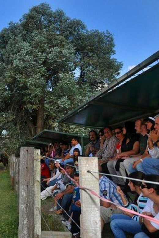Buenos Aires: Don Silvano Ranch Gaucho Day Trip - Who will enjoy Don Silvano most?