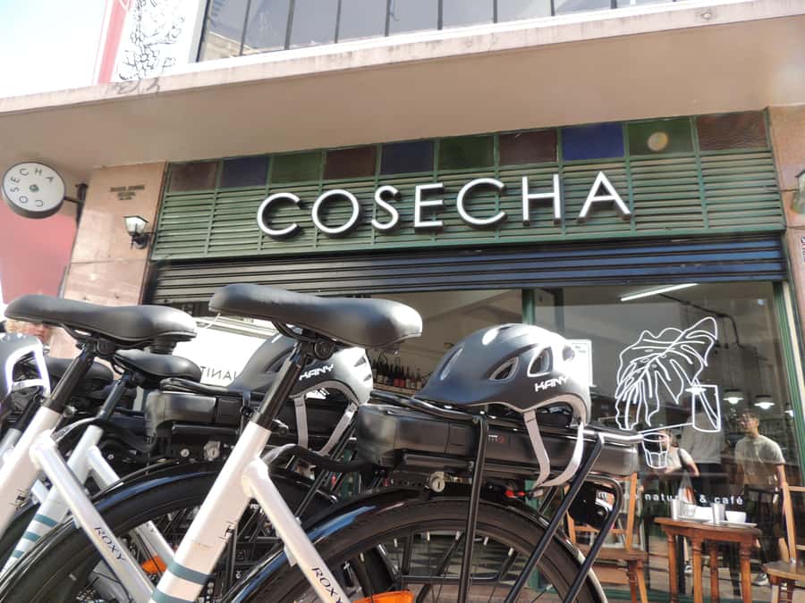 Buenos Aires: E-Bike Tour in the South Circuit of Buenos Aires - Caminito’s color and the limits of a short stop