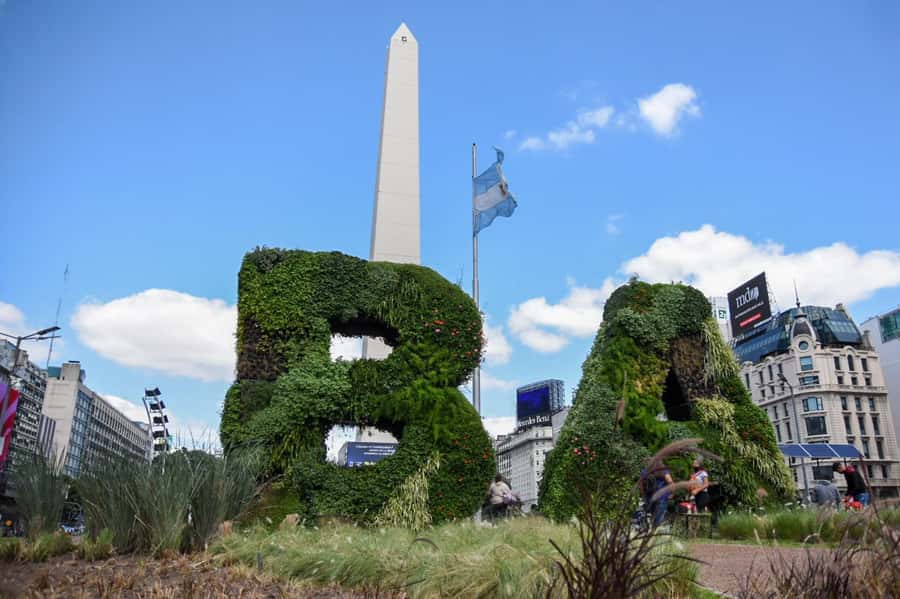 Buenos Aires Private City Tour with a local guide - Mafalda, Avenida de Mayo, and the city’s comic side