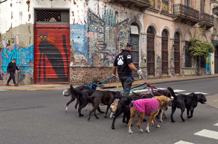 Buenos Aires: Private Photo Tour for Ammateur Photographers - Who will get the most from this experience