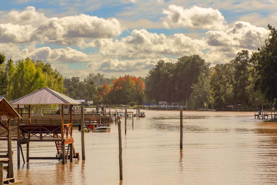 Buenos Aires: Puerto Madero to Tigre Round Trip Cruise - The 4 p.m. return to Puerto Madero