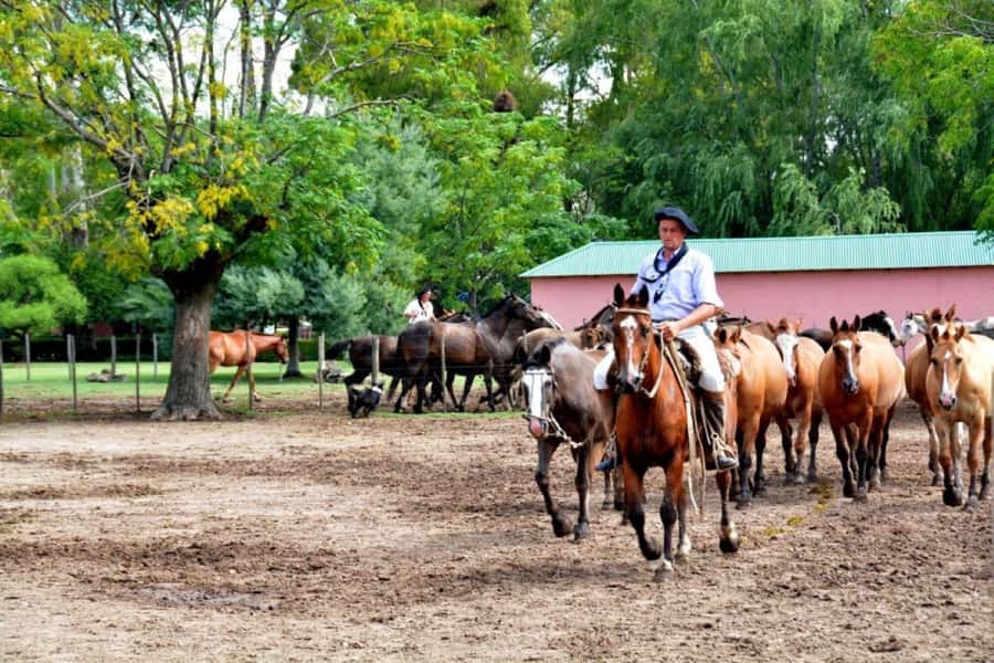Buenos Aires: Santa Susana Ranch Day Tour, BBQ & Shows - Key points before you book