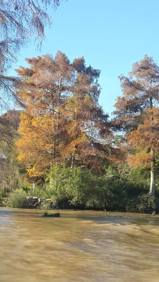 Buenos Aires: "Ticket"- 2hs of Navigation Premium to Tigre - Who Will Enjoy This Navigation?