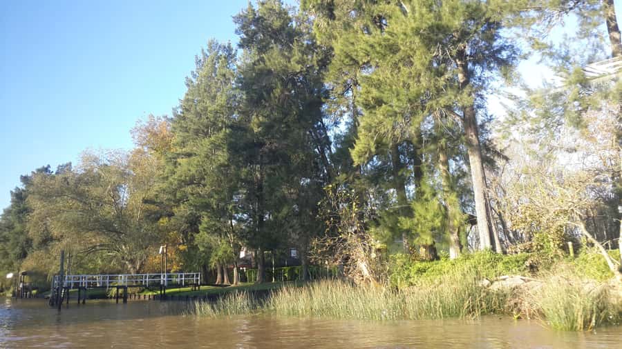 Buenos Aires: Ticket - Classic Delta of Tigre Boat Tour - Rowing clubs and the recreational side of Tigre