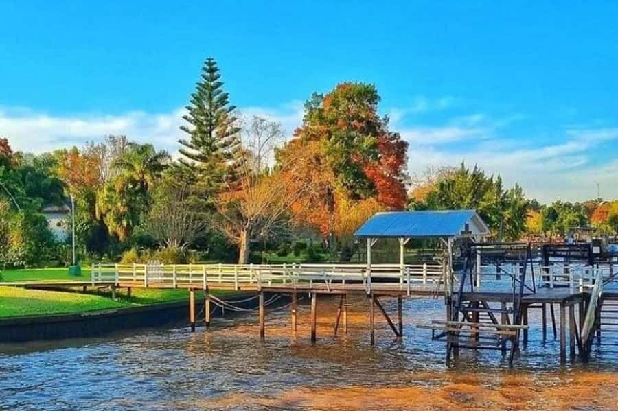 Buenos Aires: Tigre Delta Half-Day Tour with Navigation - What the guide adds, and where the format falls short