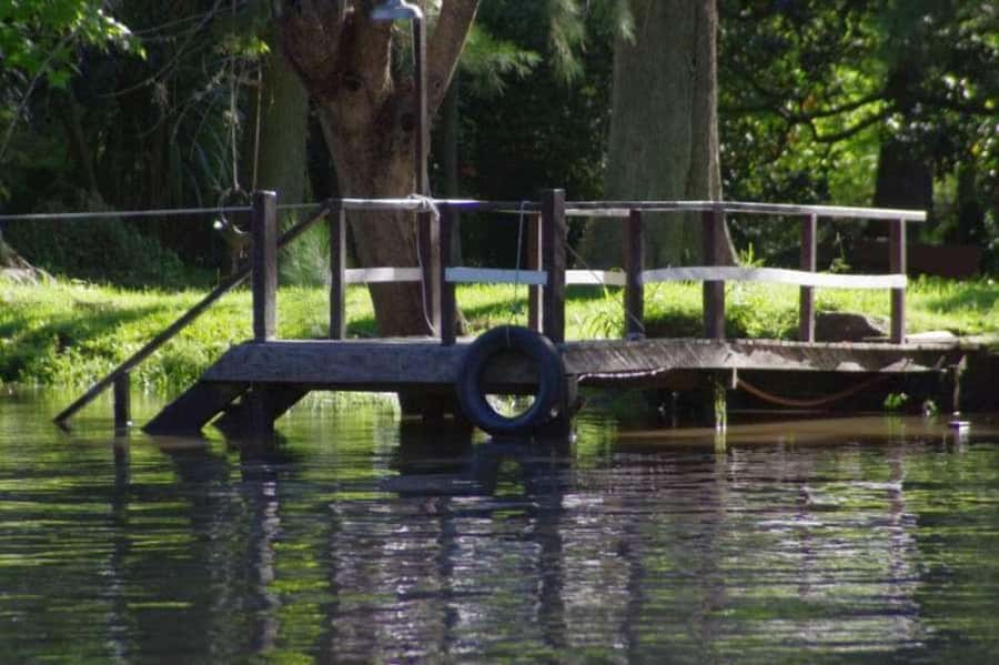 Buenos Aires: Tigre Delta Premium Boat Tour - Who will get the most from this outing