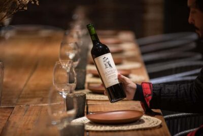 Wine Tasting and Lunch at Bodega Gamboa