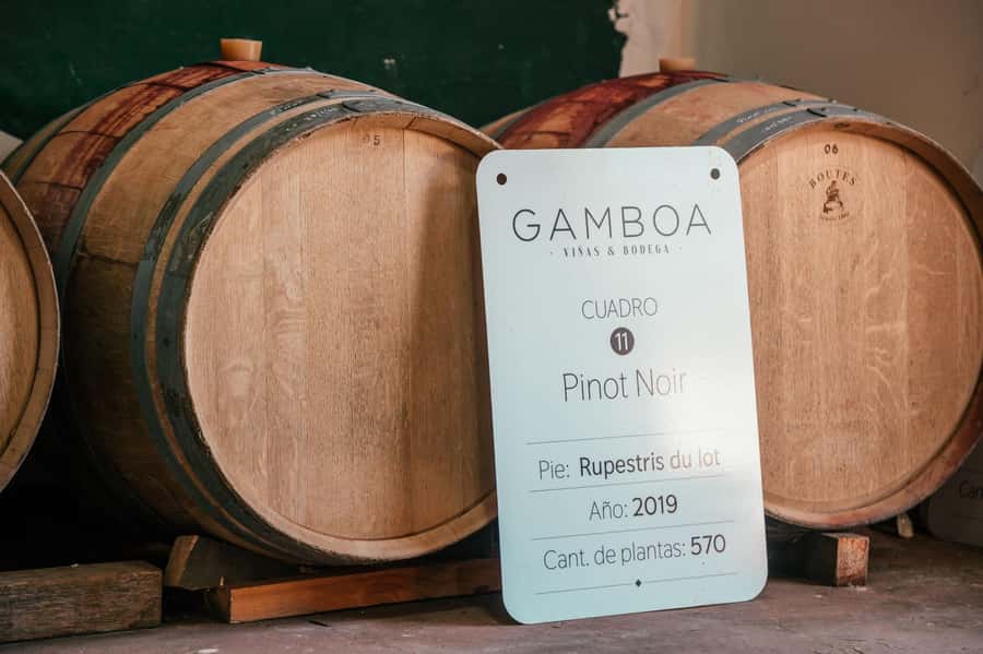 Buenos Aires: Wine Tasting and Lunch at Bodega Gamboa - Tasting Malbec, Pinot Noir, and Cabernet Franc