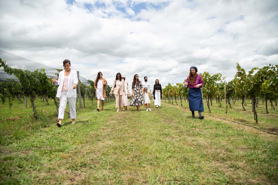 Buenos Aires: Wine Tasting and Lunch at Bodega Gamboa - What kind of visitor will enjoy it most?