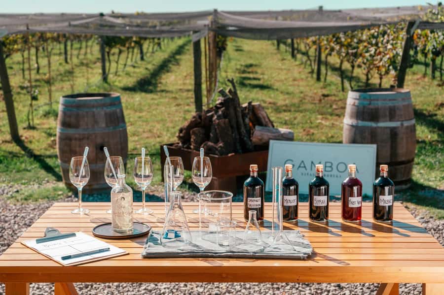 Buenos Aires: Wine Tasting & Lunch at Gamboa Vineyard - What makes this Gamboa day worth considering