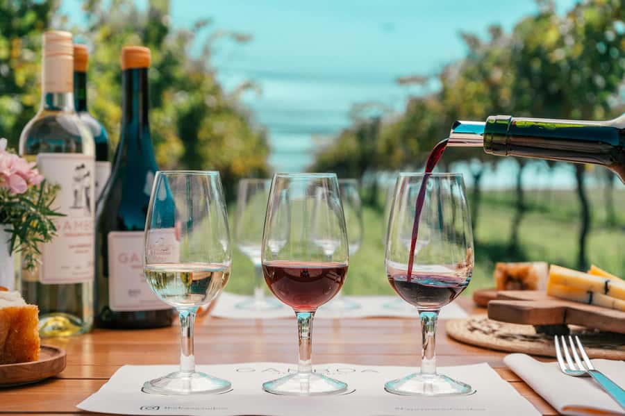Buenos Aires: Wine Tasting & Lunch at Gamboa Vineyard - From Buenos Aires traffic to a six-hectare vineyard