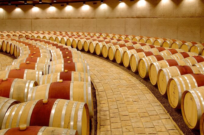 Catena Zapata Winery, Lunch and Private Transportation - Why this Mendoza wine day works