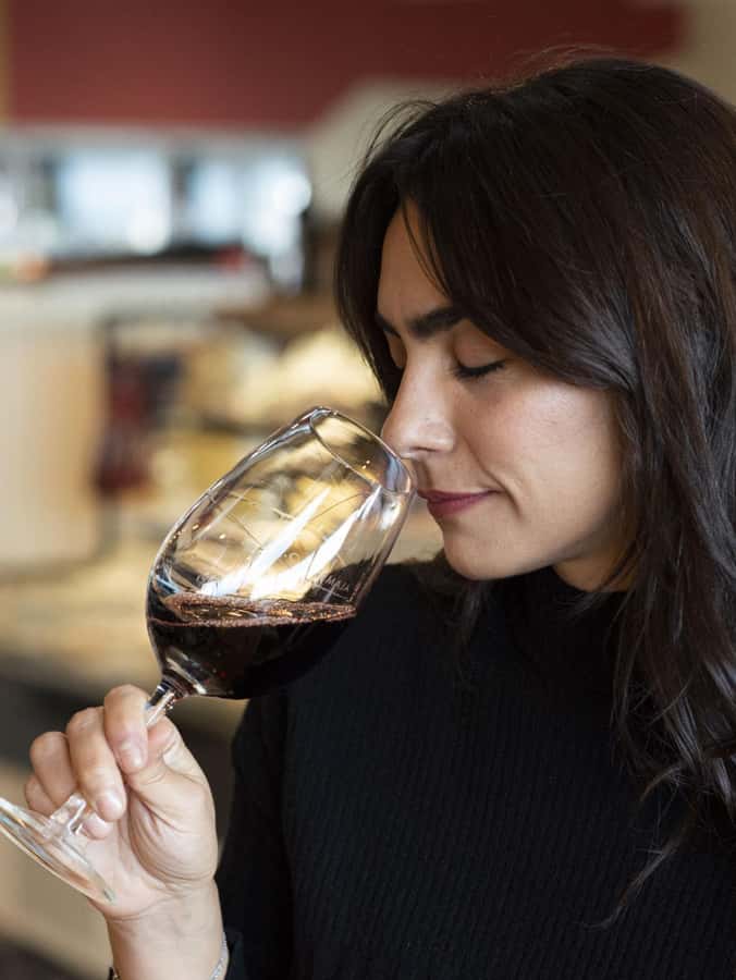 City tour and Wine tasting - Starting with La Misión and Ushuaia’s city sign