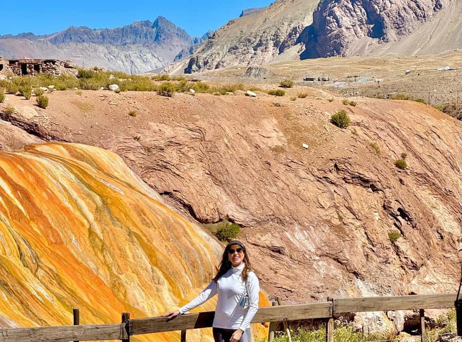 Classic Aconcagua Day Tour - From Mendoza to the High Mountain Road
