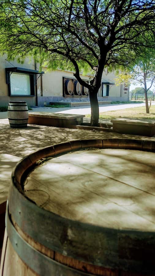 Córdoba: Wine Tour Privado a Colonia Caroya - Día completo - Key points to know before booking