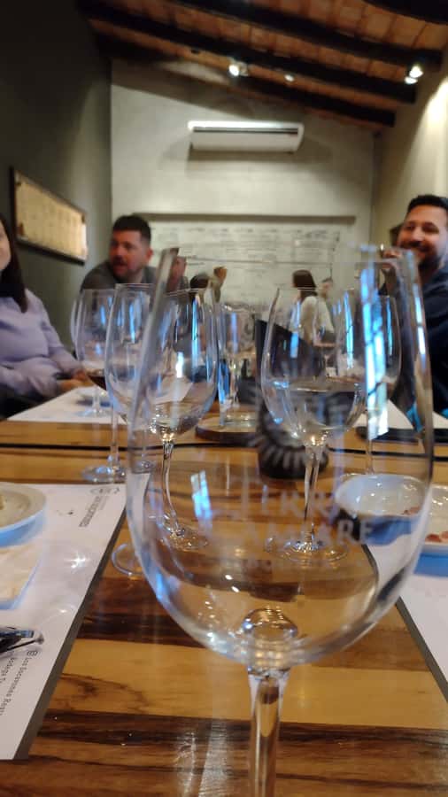 Córdoba: Wine Tour Privado a Colonia Caroya - Día completo - Who will get the most from this day