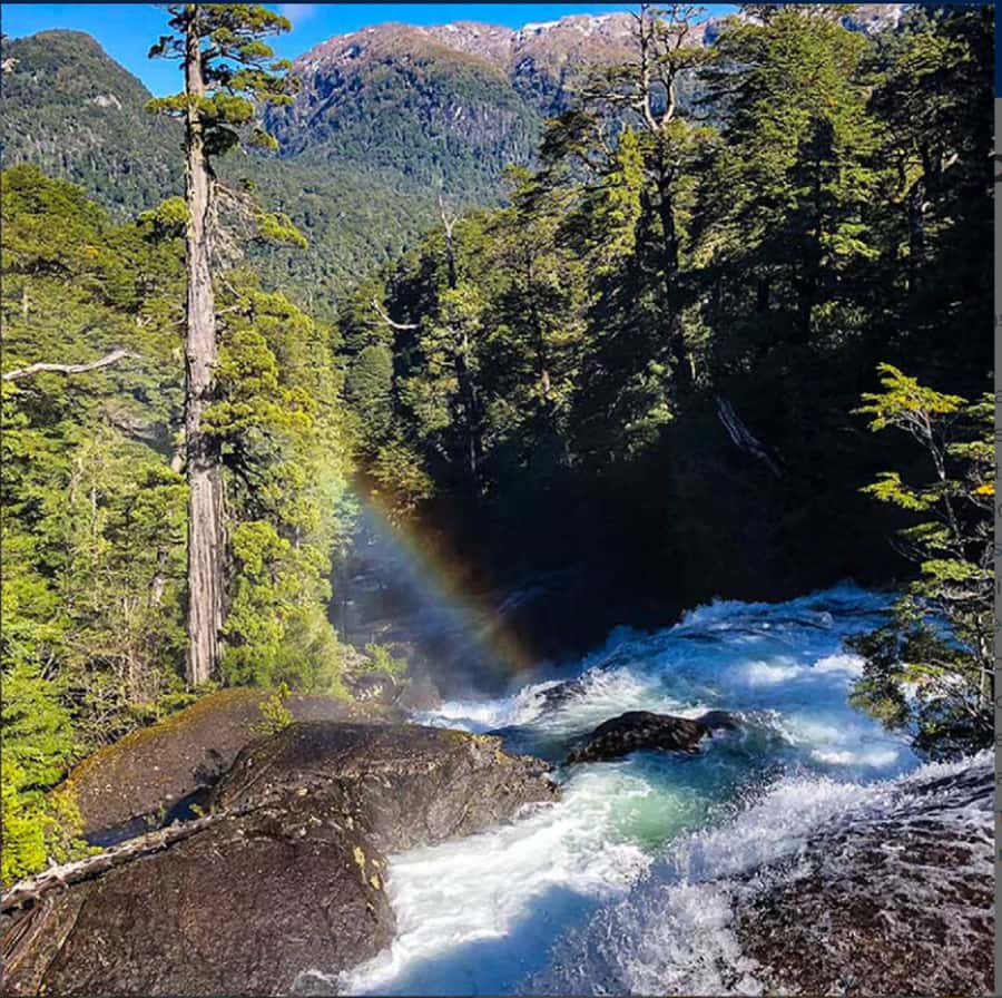Crossing to Puerto Blest and Cascada de los Cántaros - Why Puerto Blest is worth the boat ride