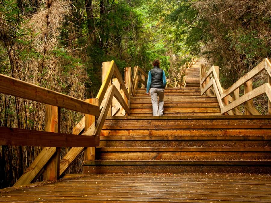 Crossing to Puerto Blest and Cascada de los Cántaros - Arriving at Puerto Blest in Nahuel Huapi National Park
