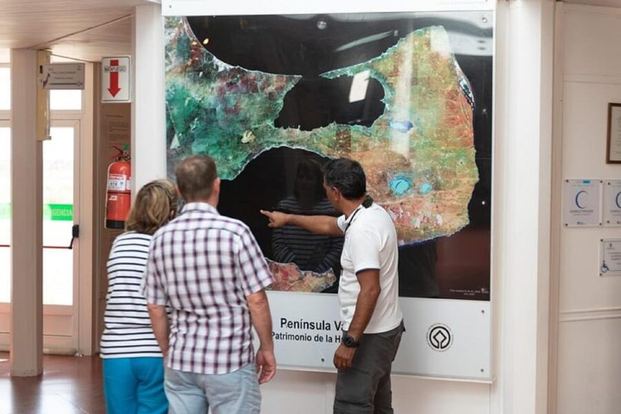 Cruise Shore Excursion Peninsula Valdes - Box Lunch Included - Guide quality and the small-group advantage