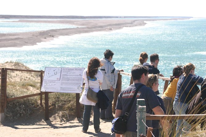 Cruise Shore Excursion Peninsula Valdes - Pto Madryn - Patagonia - Argentina - Caleta Valdes and the elephant seals