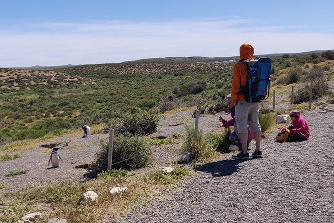 Cruise Shore Excursion Punta Tombo with Boxlunch from Pto Madryn - The Ride Across Patagonia