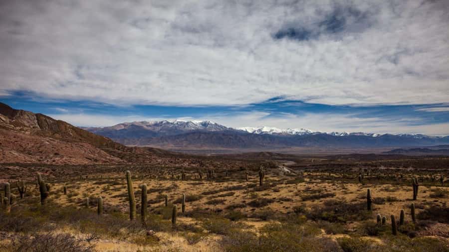 Day Trip to Cachi from Salta - Practical advice before you go