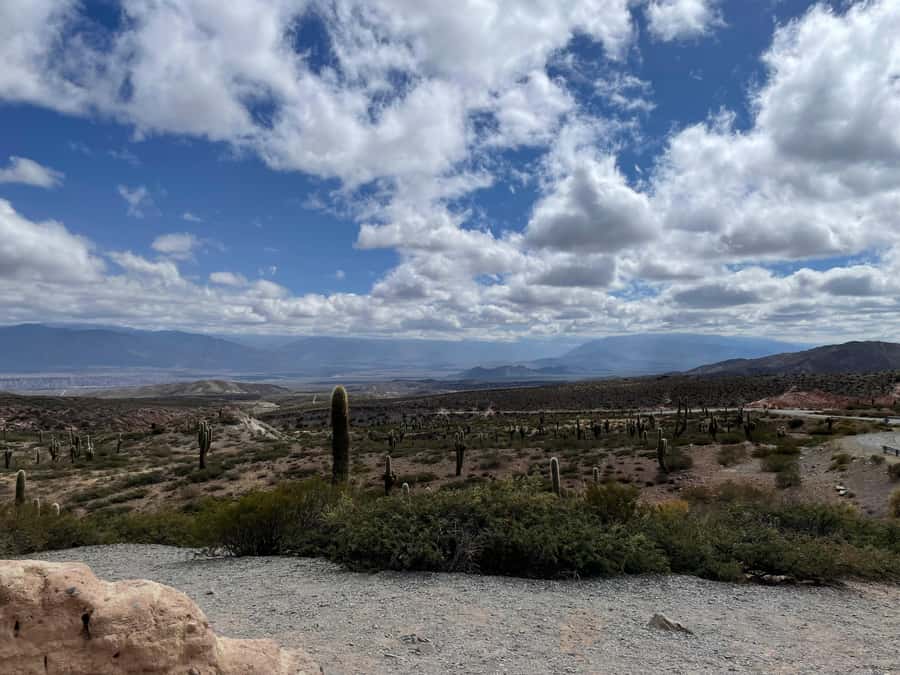 Day Trip to Cachi from Salta - Crossing Los Cardones National Park